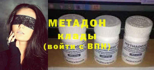 прущие грибы Арсеньев