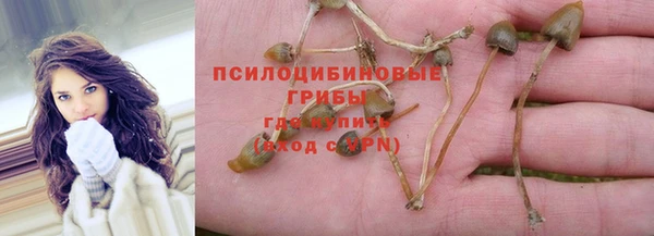 прущие грибы Алексин