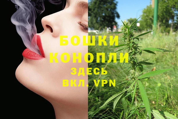 прущие грибы Арсеньев