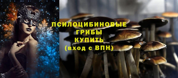 прущие грибы Арсеньев